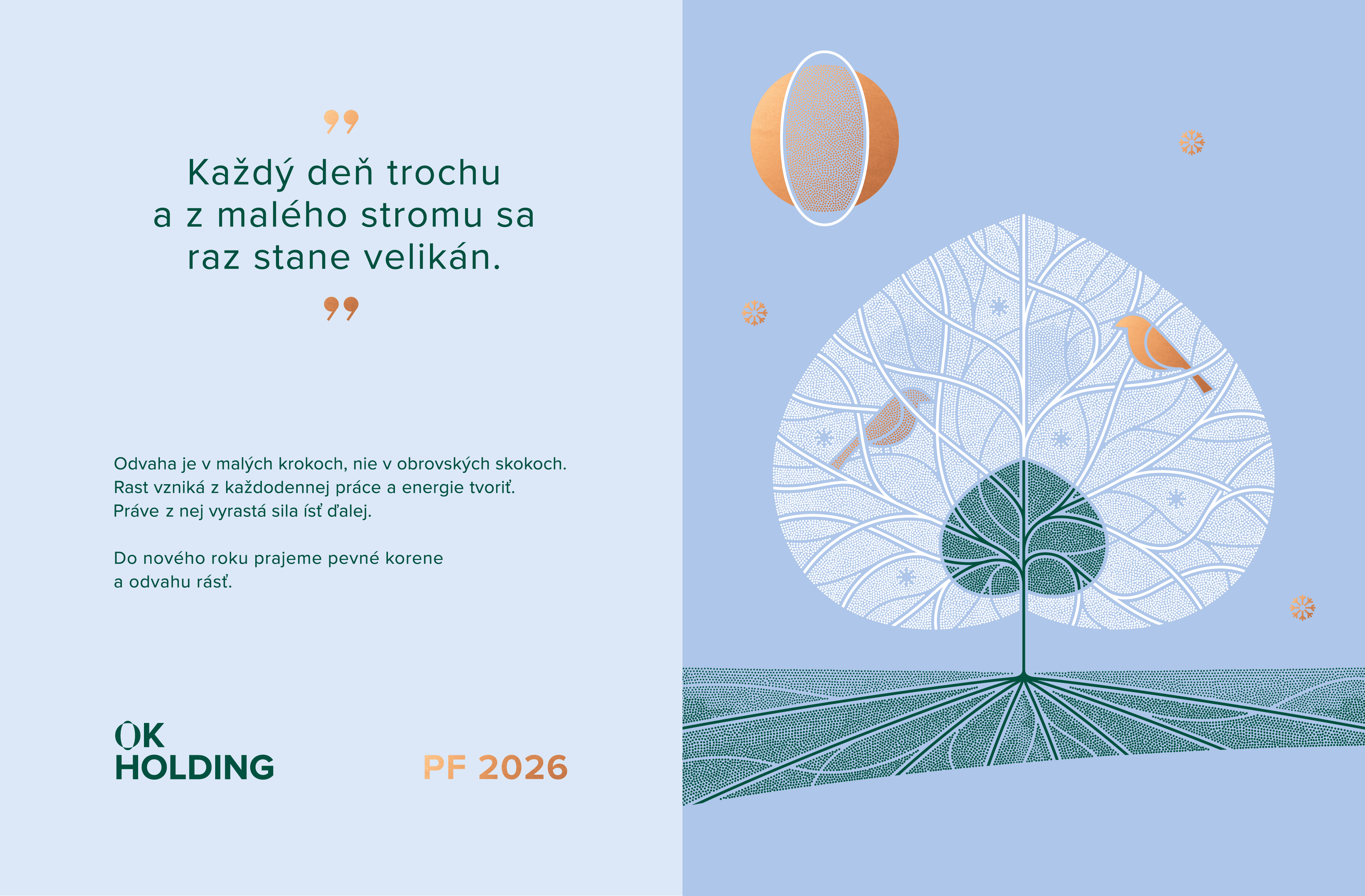 PF 2026 - OK Holding (English version)